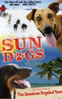 Poster Sun Dogs