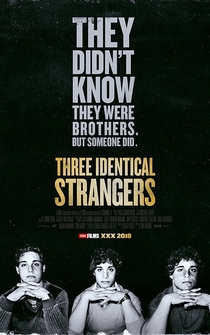 Poster Three Identical Strangers