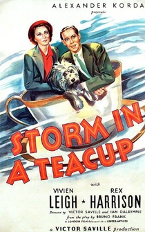 Poster Storm in a Teacup