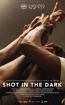 Poster Shot in the Dark