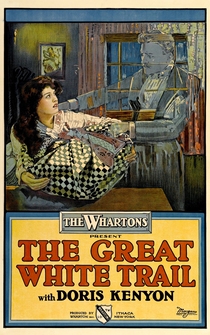 Poster The Great White Trail