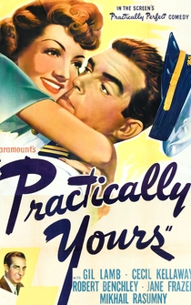 Poster Practically Yours