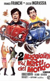 Poster I due maggiolini più matti del mondo