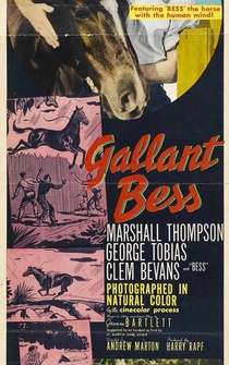 Poster Gallant Bess