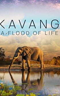 Poster Okavango: A Flood of Life