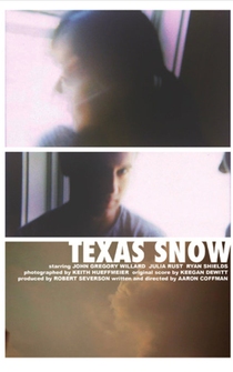 Poster Texas Snow