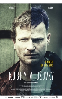 Poster Kobry a uzovky