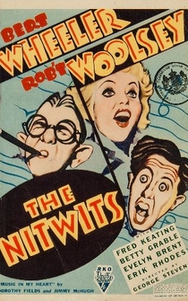 Poster The Nitwits