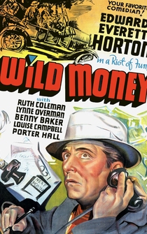 Poster Wild Money