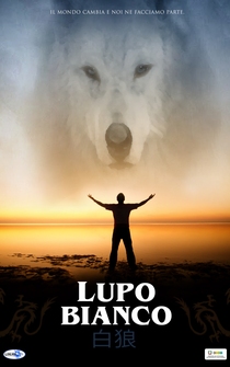 Poster Lupo Bianco