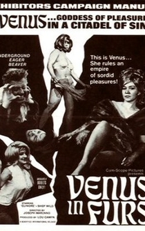 Poster Venus in Furs