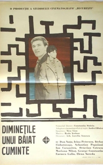 Poster Diminetile unui baiat cuminte