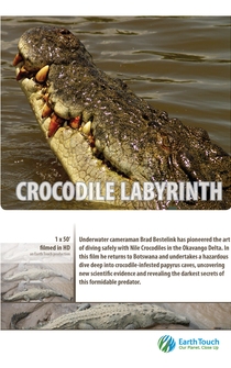 Poster Croc Labyrinth