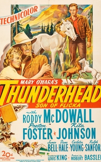 Poster Thunderhead: Son of Flicka