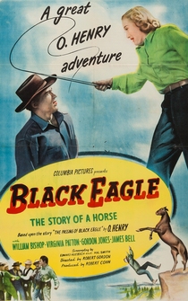 Poster Black Eagle