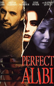 Poster Perfect Alibi