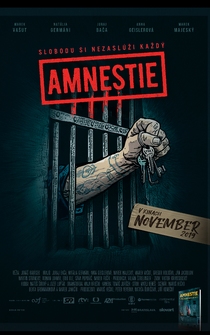 Poster Amnestie