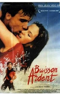 Poster Buisson ardent