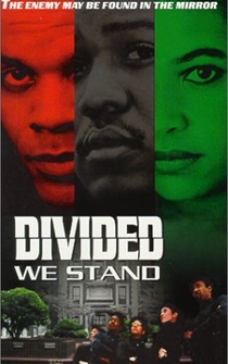 Poster Divided We Stand