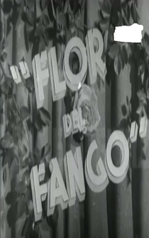 Poster Flor de fango