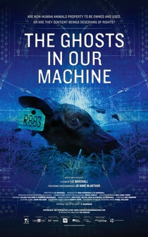 Poster The Ghosts in Our Machine