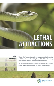 Poster Lethal Attractions