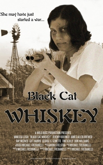 Poster Black Cat Whiskey