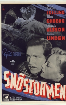 Poster Snöstormen