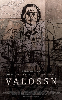 Poster Valossn