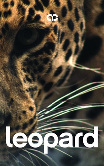 Poster Leopard