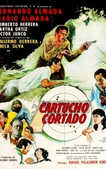 Poster Cartucho cortado