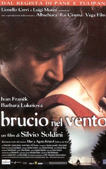 Poster Brucio nel vento