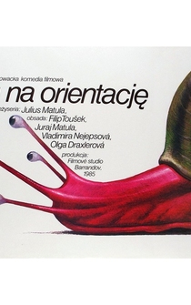 Poster Bloudení orientacního bezce