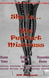 Poster The Perfect Mistress