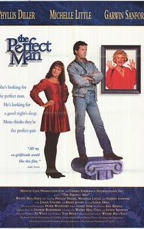 Poster The Perfect Man