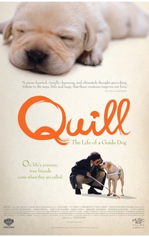 Poster Quill