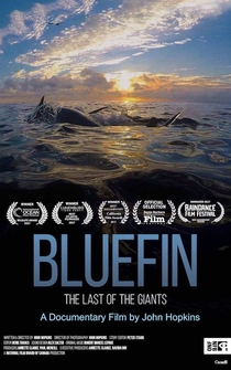 Poster Bluefin