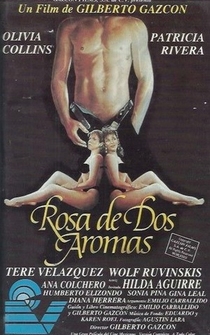 Poster Rosa de dos aromas