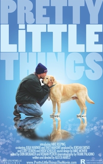 Poster Pretty Little Things