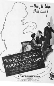 Poster The White Monkey