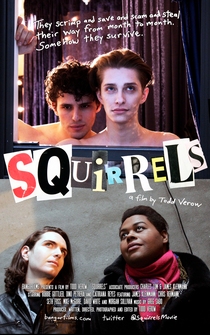 Poster Squirrels