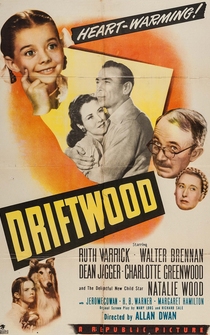 Poster Driftwood