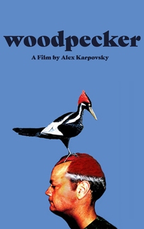 Poster Woodpecker