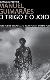 Poster O Trigo e o Joio