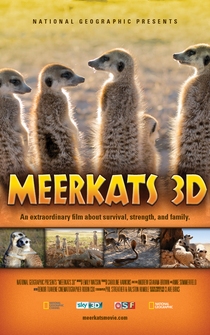 Poster Meerkats 3D