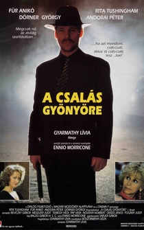 Poster A csalás gyönyöre