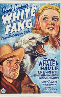 Poster White Fang