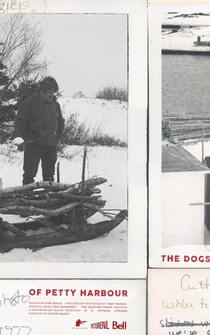 Poster The Dogs of Petty Harbour