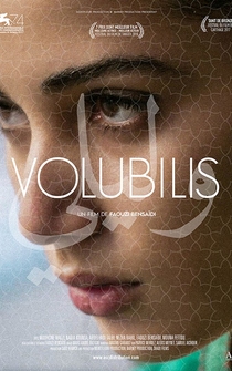 Poster Volubilis