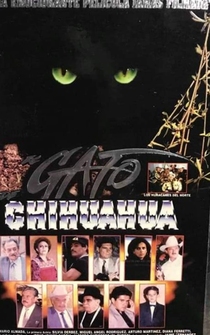 Poster El gato de Chihuahua